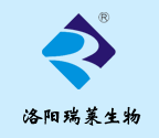 邓莎疯狂网购化身